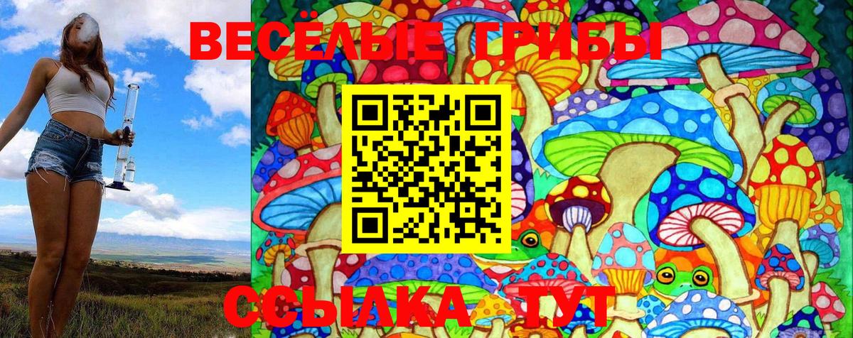 Галлюциногенные грибы Magic Shrooms Выборг